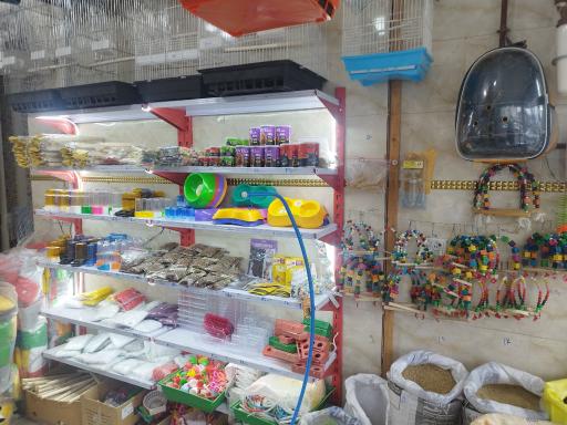 عکس ملزومات حیوانات خانگی حقی