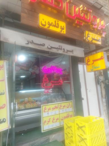 عکس فروشگاه پروتئین صدر