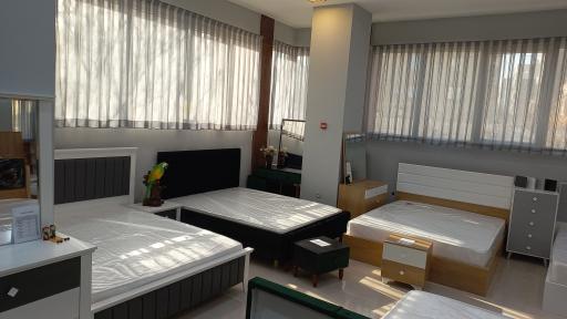 عکس فروشگاه سرویس خواب و مبلمان چوب برگ