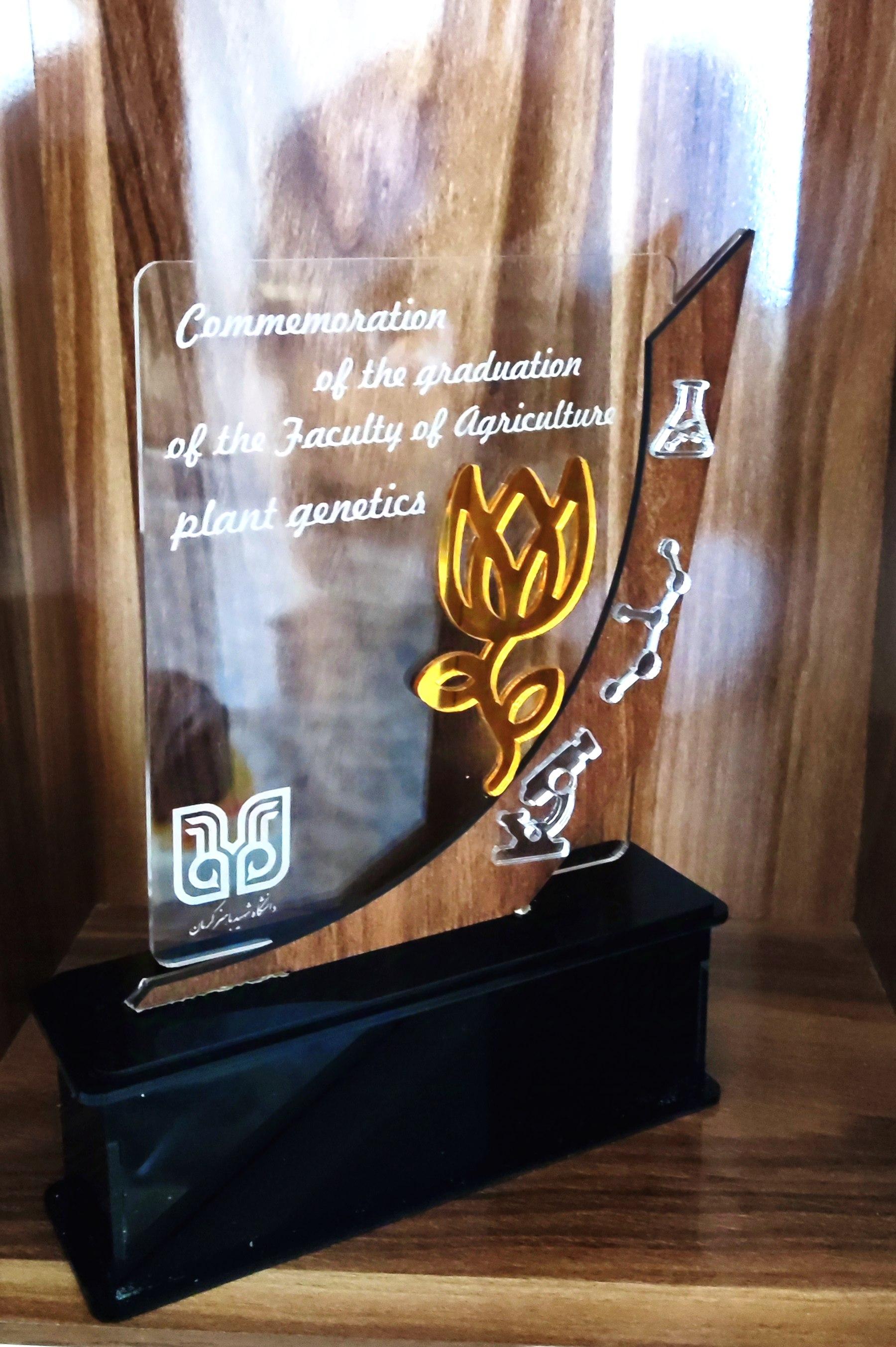 عکس لیزر ورنا