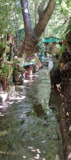 عکس آبشار درکه
