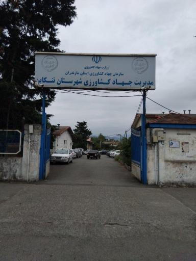 عکس مدیریت جهاد کشاورزی شهرستان تنکابن