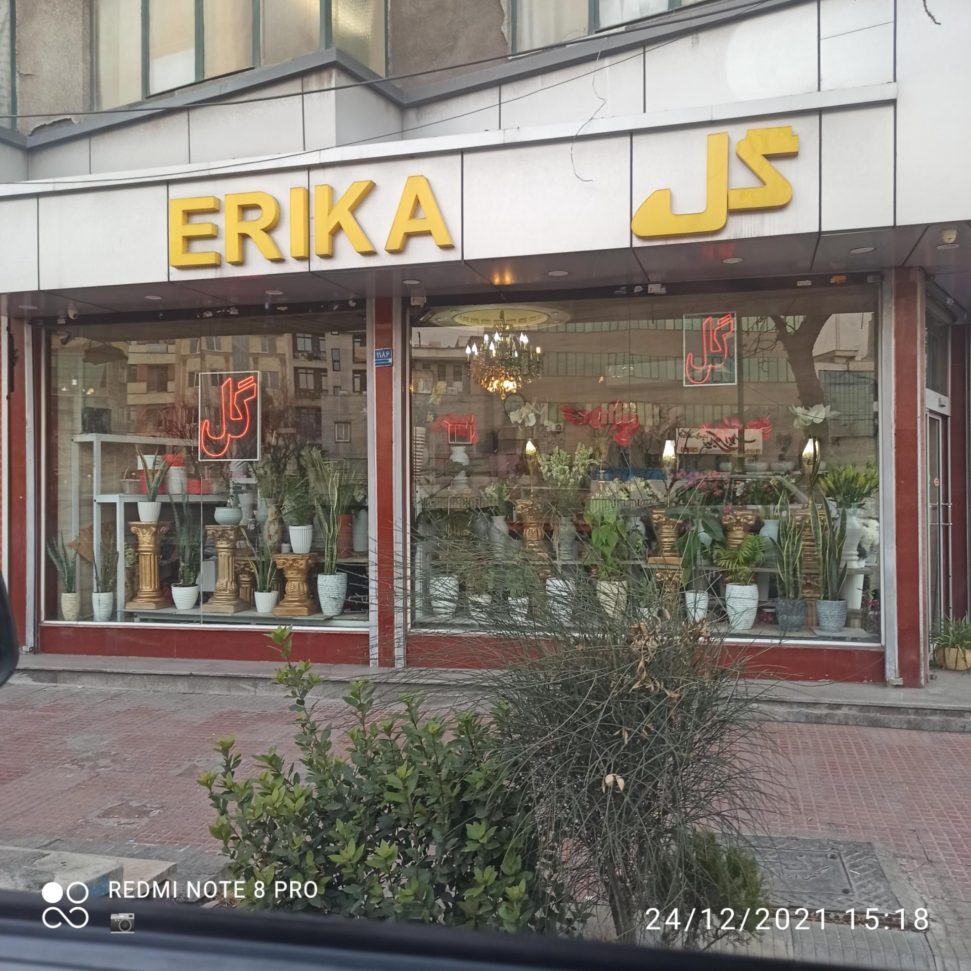 عکس گلکده اریکا