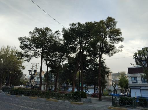 عکس میدان باغ فیض