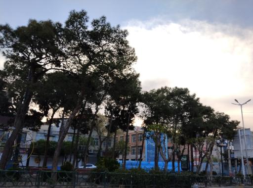 عکس میدان باغ فیض