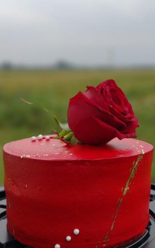 عکس دسر،شیرینی ترنم بهاری