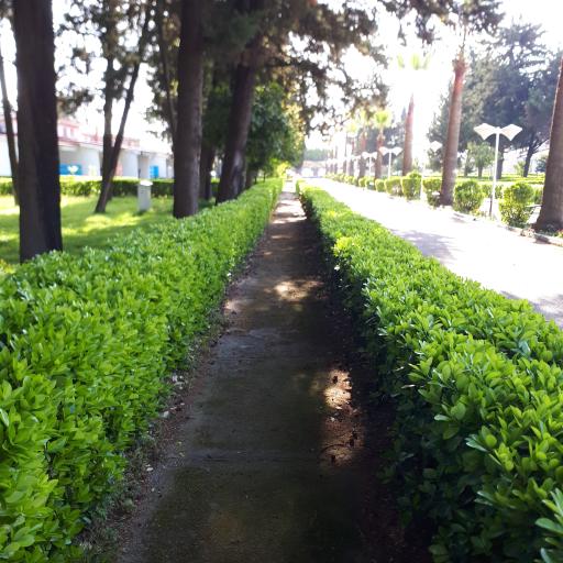 عکس مجتمع تفریحی رفاهی شهید همت