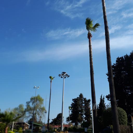 عکس مجتمع تفریحی رفاهی شهید همت