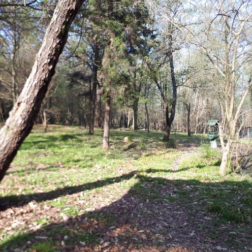 عکس مجتمع تفریحی رفاهی شهید همت