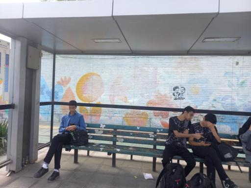 عکس  هاشمیه 9