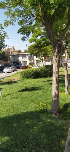 عکس بوستان یاس