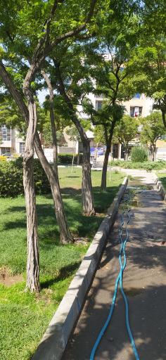 عکس بوستان یاس