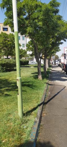 عکس بوستان یاس