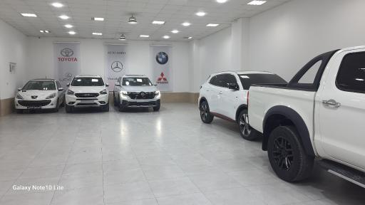 عکس اتومبیل امینی