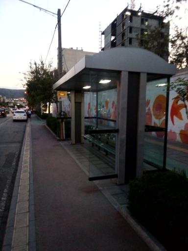 عکس  هاشمیه 9