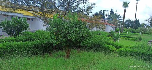 عکس مجتمع تفریحی رفاهی شهید همت