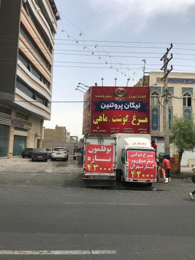 نیکان پروتئین رباط