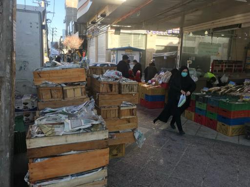 عکس نیکان پروتئین رباط