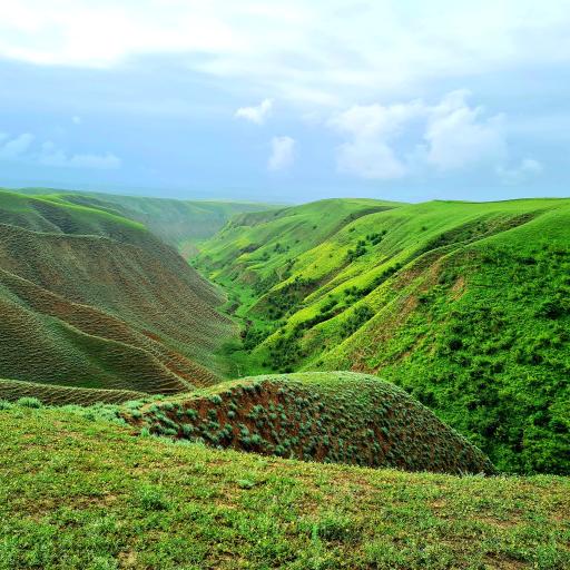 عکس ترکمن صحرا