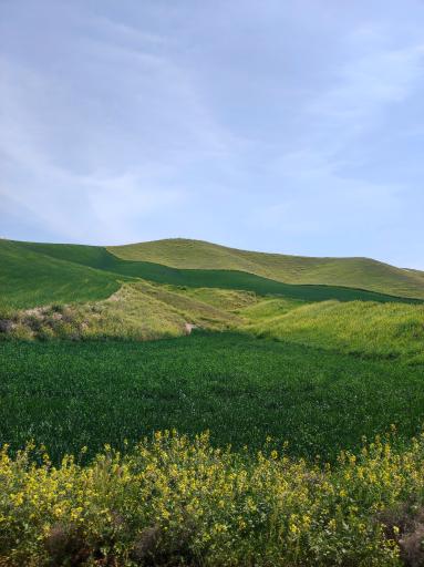 عکس ترکمن صحرا