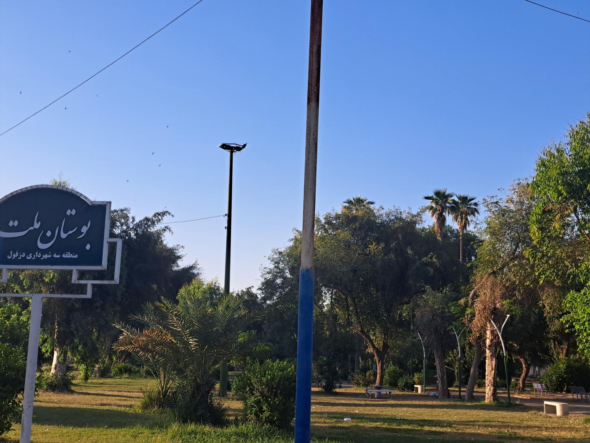 عکس پارک ملت