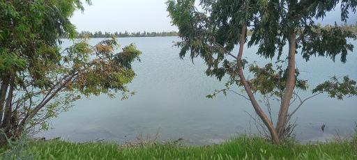 عکس تیرتاش