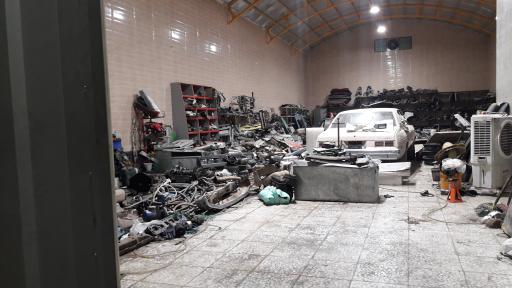 عکس امریکن استوک گلشنی 