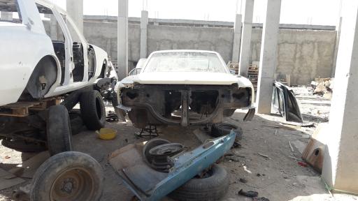 عکس امریکن استوک گلشنی 