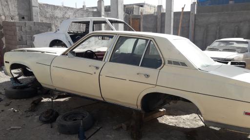 عکس امریکن استوک گلشنی 