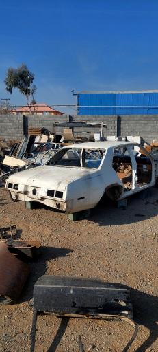 عکس امریکن استوک گلشنی 