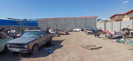 عکس امریکن استوک گلشنی 