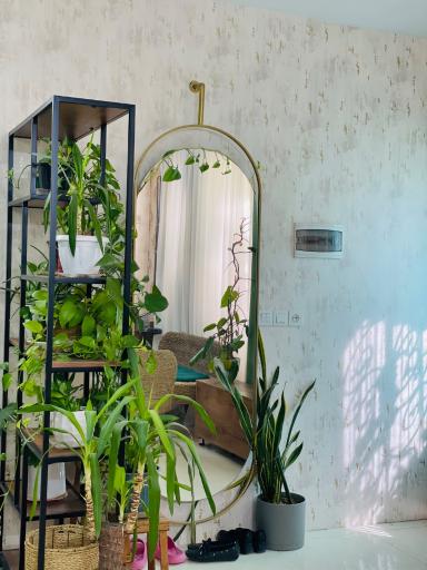 عکس سالن زیبایی مینا فیروزی