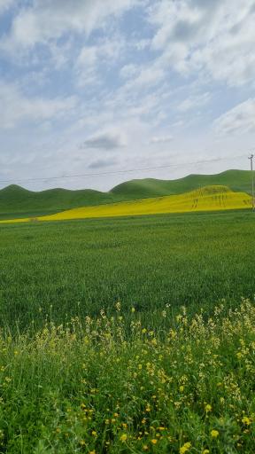 عکس ترکمن صحرا