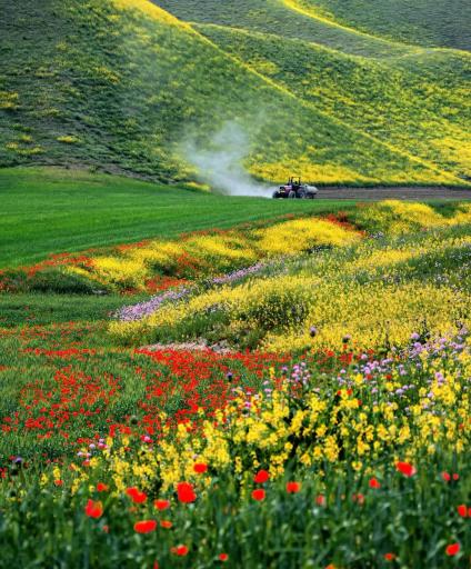 عکس ترکمن صحرا
