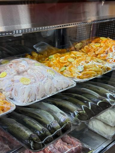 عکس نیکان پروتئین رباط
