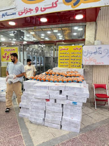 عکس نیکان پروتئین رباط