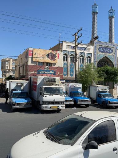 عکس نیکان پروتئین رباط