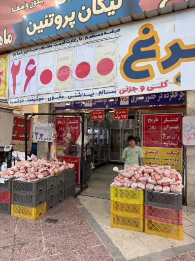 عکس نیکان پروتئین رباط