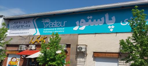 عکس آزمایشگاه تشخیص طبی پاستور 