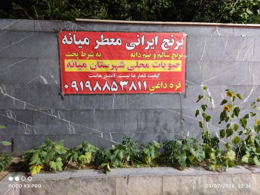 عکس برنج فروشی و حبوبات محلی