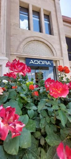 عکس فروشگاه لباس ادورا