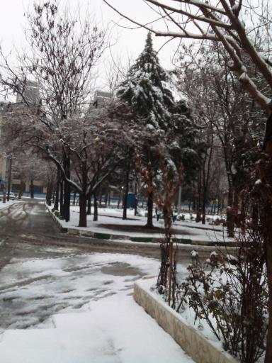 عکس بوستان نادری