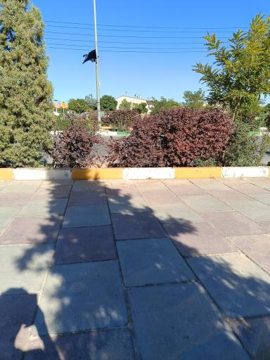 عکس  مهرگان 10