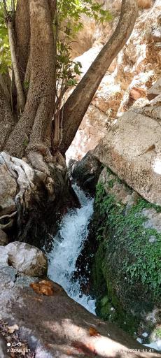 عکس چشمه قهری استهبان