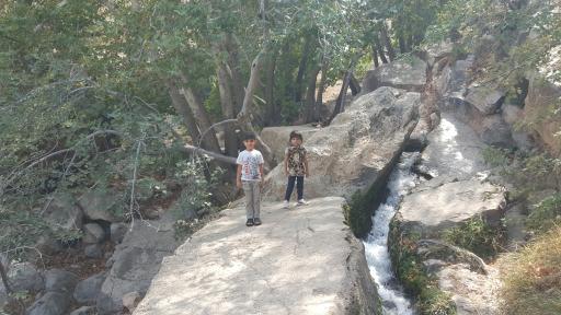 عکس چشمه قهری استهبان