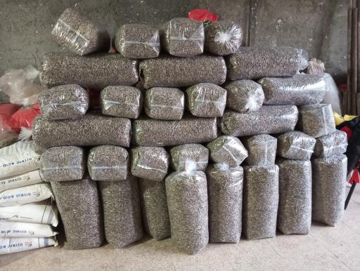 عکس تخمه فروشی بایسته