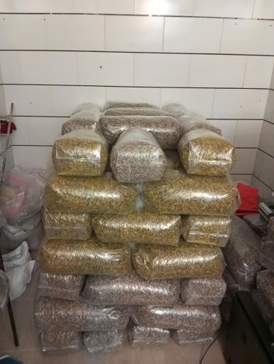 عکس تخمه فروشی بایسته