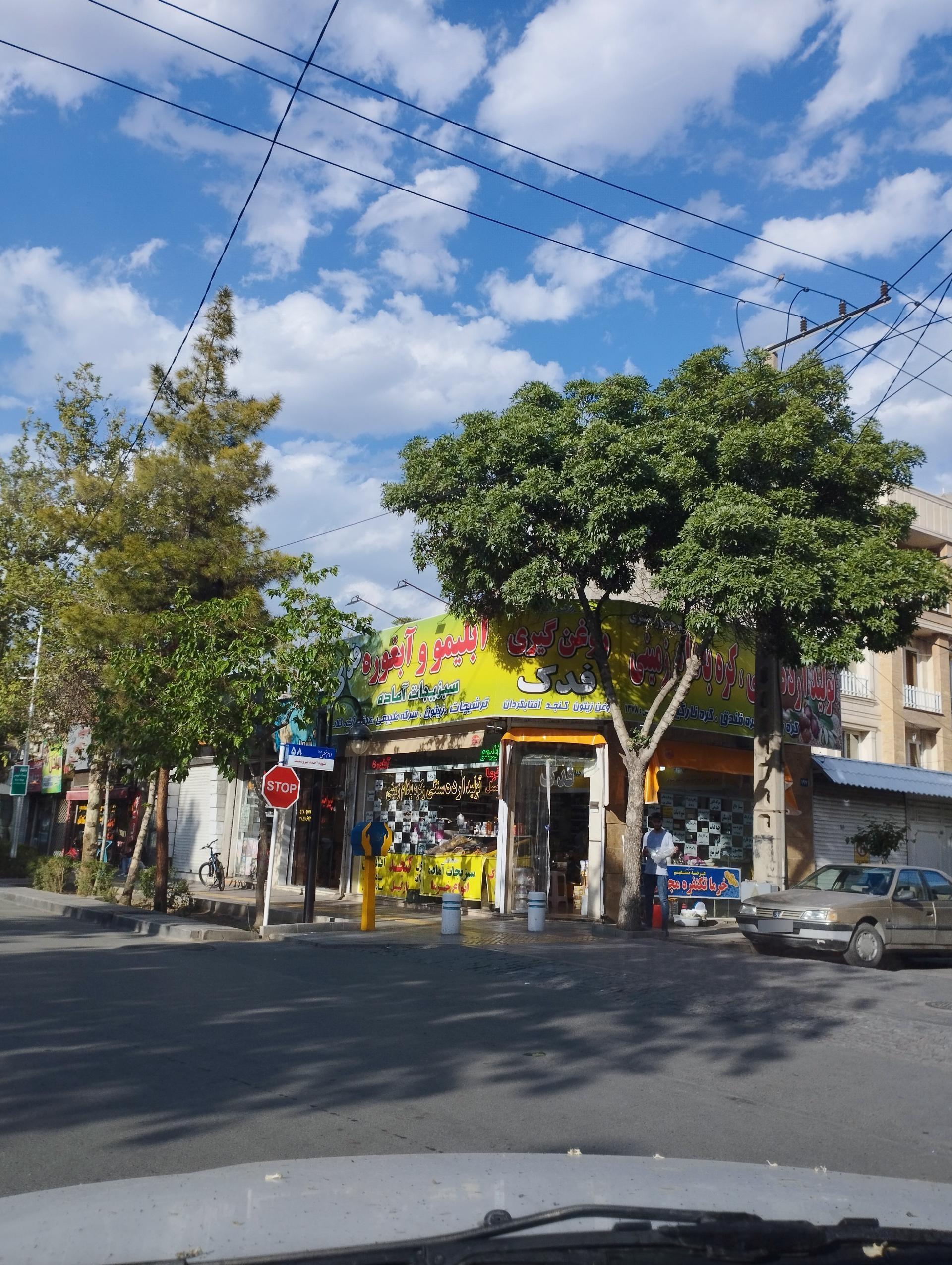 عکس آبلیمو، آبغوره و سبزیجات آماده فدک