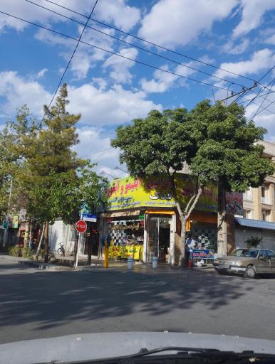 عکس آبلیمو، آبغوره و سبزیجات آماده فدک