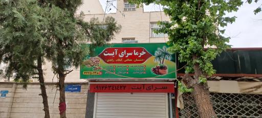 عکس خرما سرای آیت